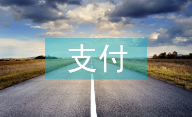 支付結(jié)算工作要點