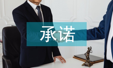 師德承諾總結