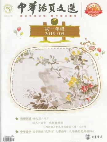 中華活頁(yè)文選雜志