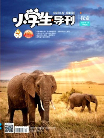 小學(xué)生導(dǎo)刊·中年級